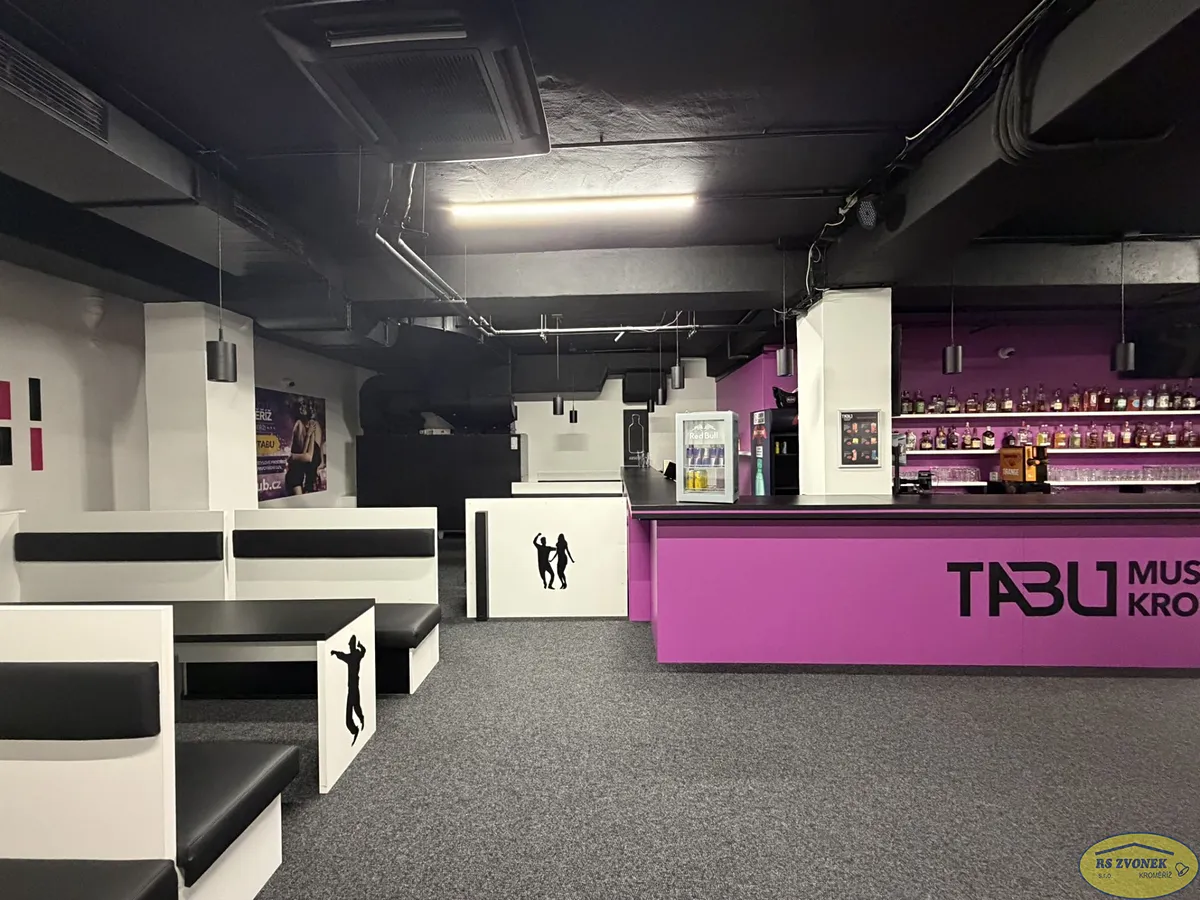 Pronájem komerční nemovitosti 250 m²